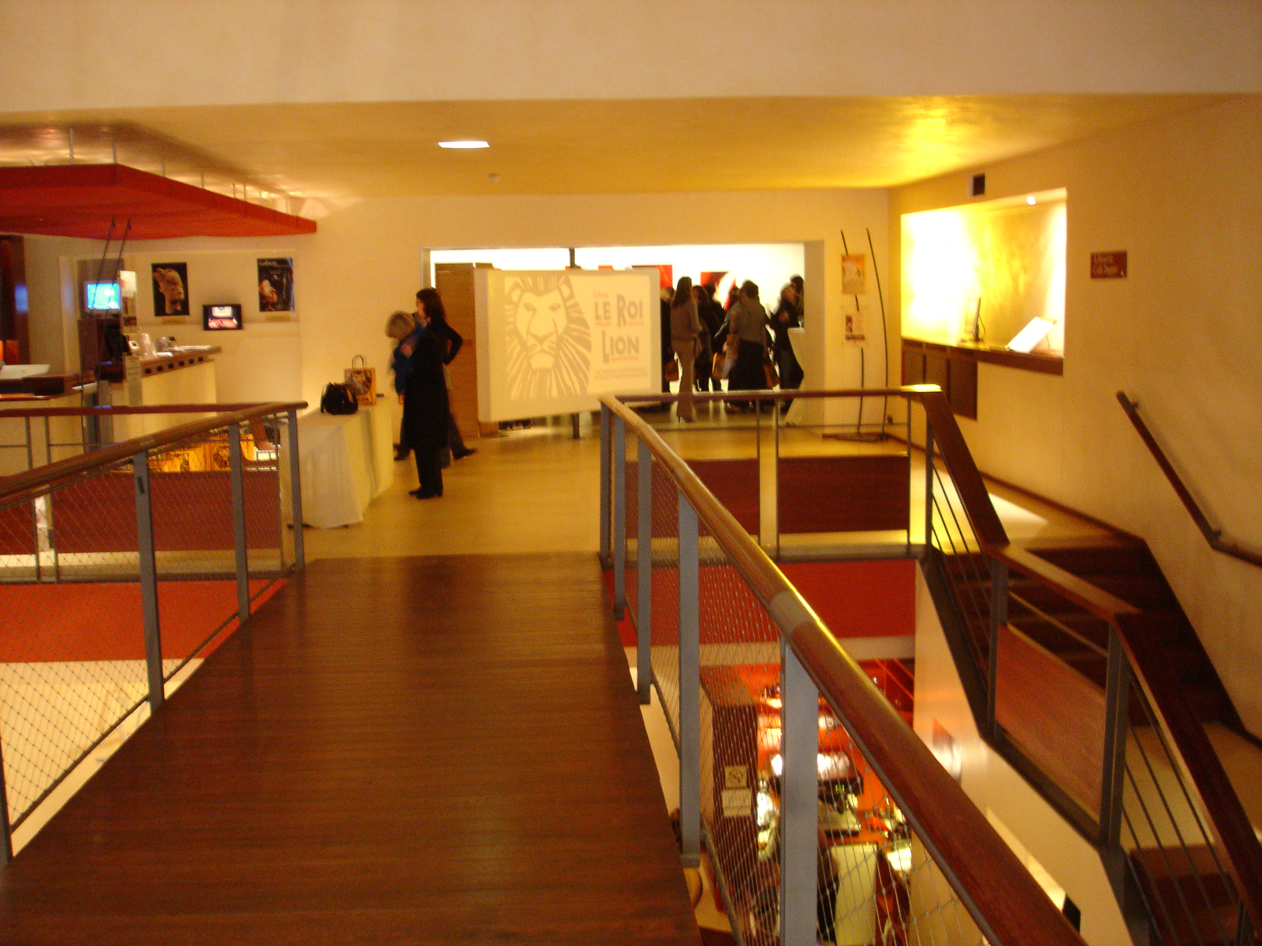 Conférence de Presse de Julie Taymor Le Roi Lion - Hall Musée Dapper